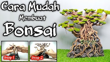 How to Make an Aquascaping Bonsai Tree for Aquarium