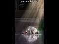 البرنامج الاذاعي مع الذاكرين الفتوى بلا علم الفـ ضيل بن عياض الحلقة 35 البرنامج الاذاعي مع الذاكرين الفتوى بلا علم الفـ ضيل بن عياض الحلقة 35