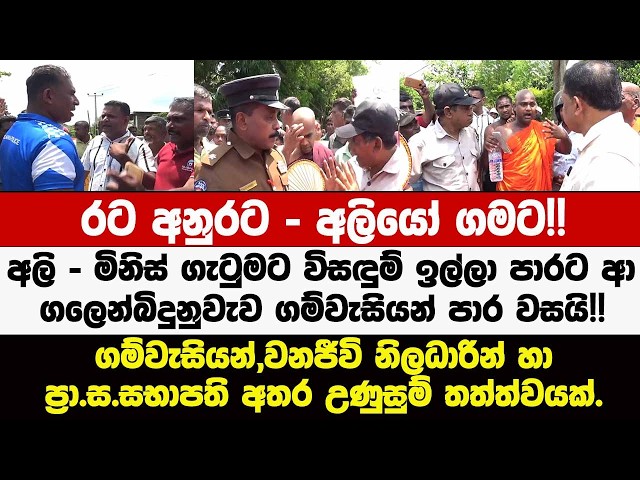 අලි-මිනිස් ගැටුමට විසඳුම් ඉල්ලා පාරට ආ ගලෙන්බිදුනුවැව ගම්වැසියන් පාර වසයි!! උණුසුම් තත්ත්වයක්.
