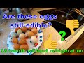 Water Glassing Eggs for long term storage without refrigeration. 18 month update.