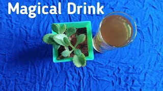 Weight കുറയാൻ ഒരു അടിപൊളി മാജിക്കൽ drink || Magical drink for weight loss|| Home remedy for weight l