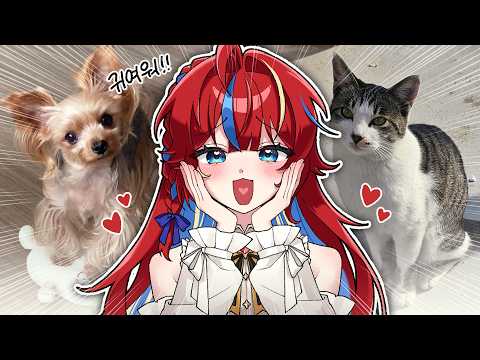 My viewers' pets are so cute