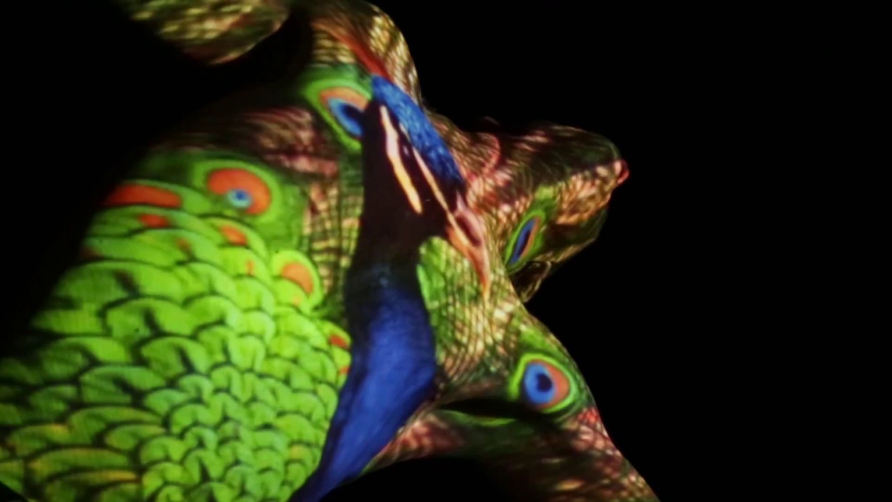 Vote Poetry - croc E moses