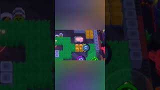 insane collete bug #brawlstars #bug #brawl #new #collete #cat