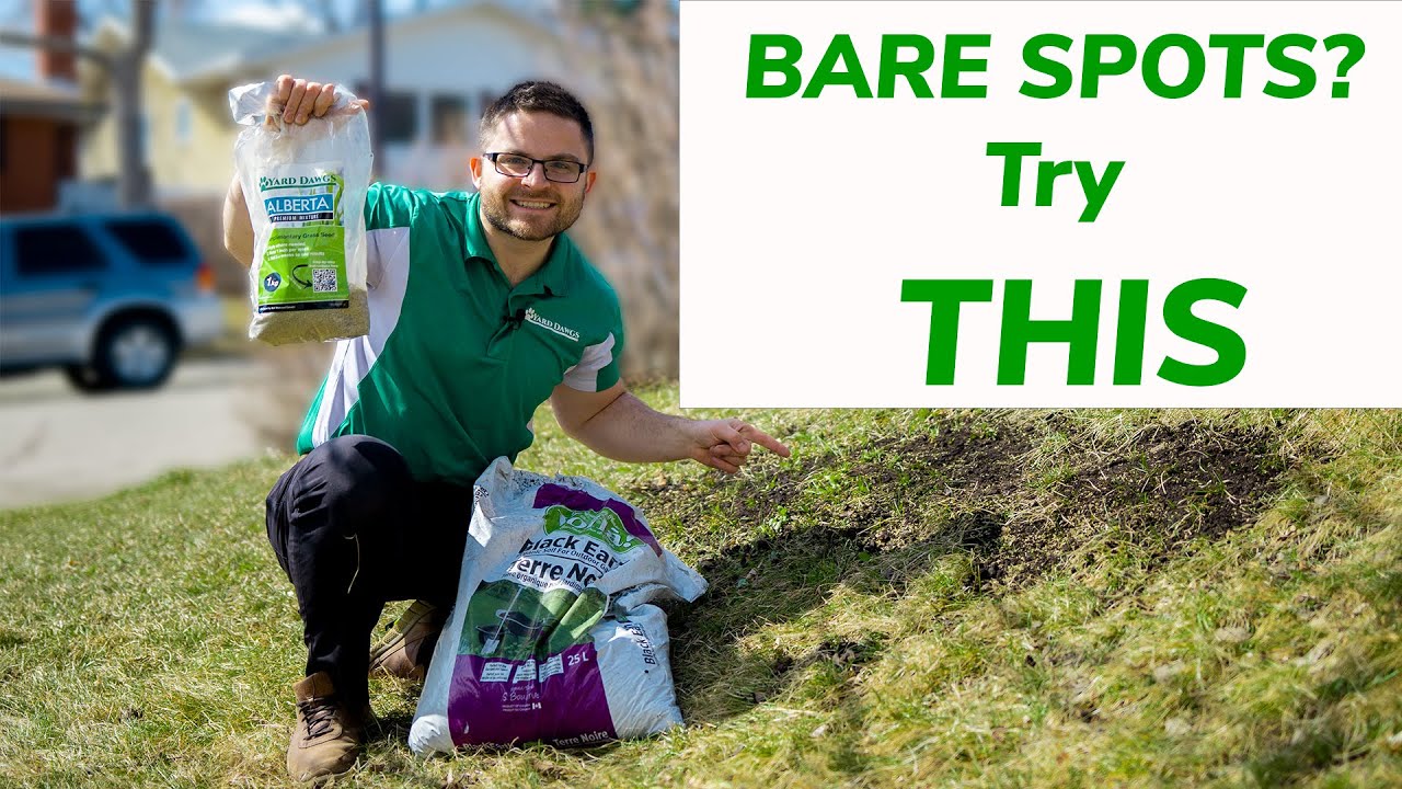 How To Seed Your Lawn From Start To Finish [FULL TUTORIAL] - YouTube