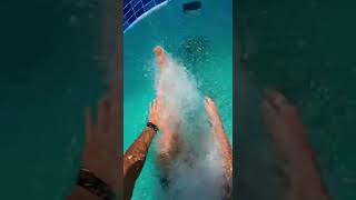 Waterslide into pool full of giant fish #funny #memes