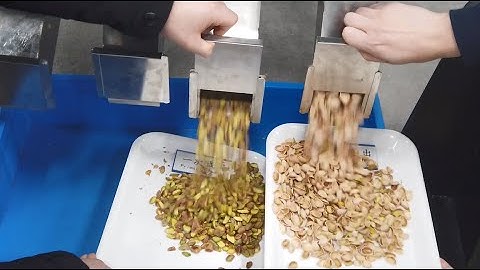 Nuts color sorting by using the CCD Color sorter of Taiho