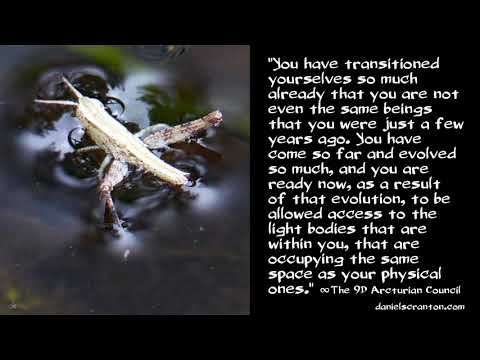 Your Light Bodies