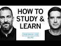 How to study  learn using active recall  dr cal newport  dr andrew huberman