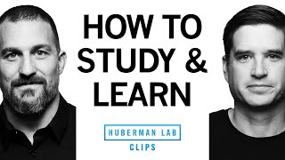 How To Study Learn Using Active Recall Dr Cal Newport Dr Andrew Huberman