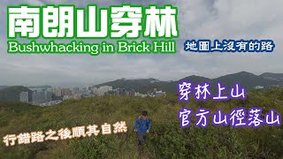 穿林直上南朗山山頂,睇海洋公園高峰樂園,官方山徑望海景落山,全程2.5小時,走地圖沒有的路 Max迷路記 行山路線 爆林