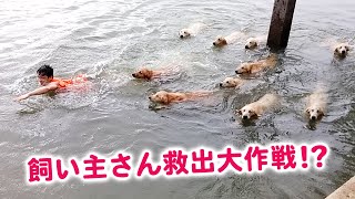 ワンコ「飼い主さんが、水の中に…！！」