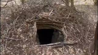 Ciidanka Xoogga Dalka Oo Soo Bandhigay Godadkii Khawaarijta Degmada Awdheegle.