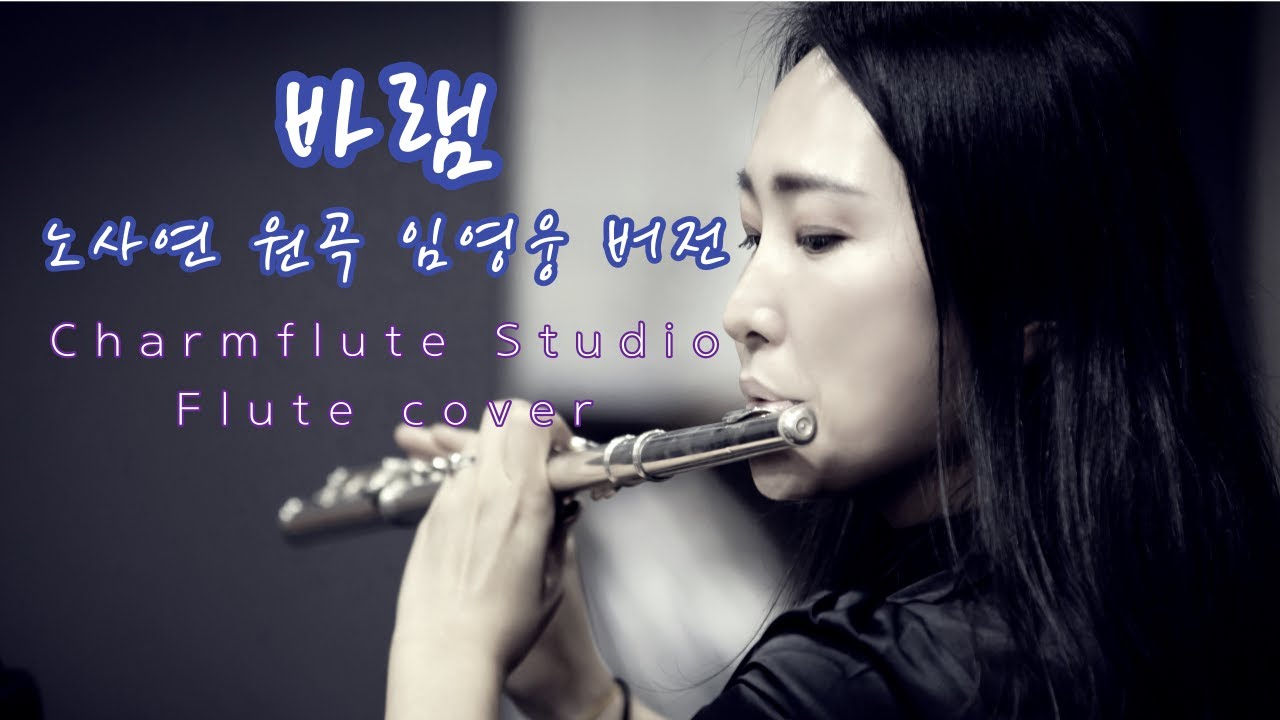 바램 charmflute flutecover charms 노사연 임영웅  플루트커버