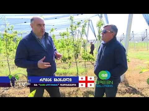 'რჩევები ფერმერებს' Green Solutions/გრინ სოლუშენსი. Roman Chkhenkeli/რომან ჩხენკელი