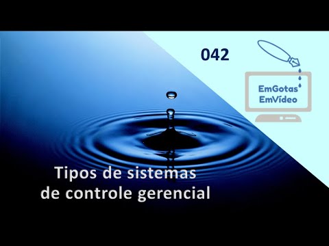 Vídeo: Consultoria de gestão é Conceito, definição, tipos, direções e etapas de desenvolvimento