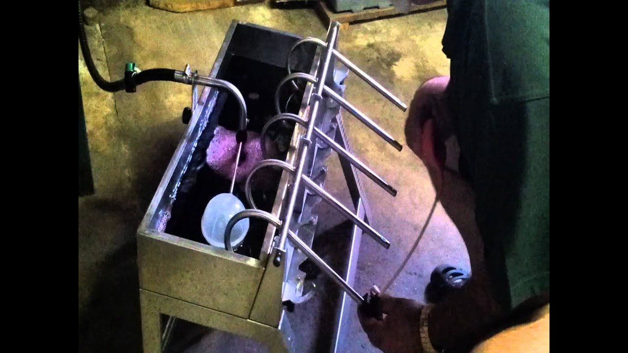 Aprenda engarrafar  vinho