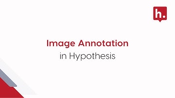 Image Annotation in Hypothesis