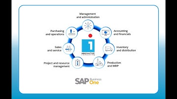 Service Module  in SAP B1