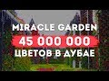 Miracle Garden 45 000 000 цветов в Дубае