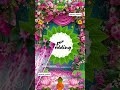 Wedding invitation video. #wedding invitation, #birthday, #invitation video