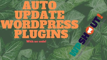 How to Enable Automatic WordPress plugin updates with Companion Auto Update