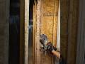 Widening Door Frame - Remodeling #shorts #tools #flextools #remodeling #diy #carpenter #renovation