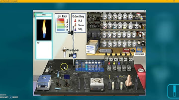 8-1 Flame Tests for Metals (Beyond Labz)
