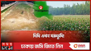 শালবন উন্নয়নের নামে কোটি কোটি টাকার প্রকল্প! | Altadighi National Park | Naogaon News | Somoy TV