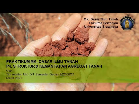 Struktur dan Kemantapan Agregat Tanah (soil structure)