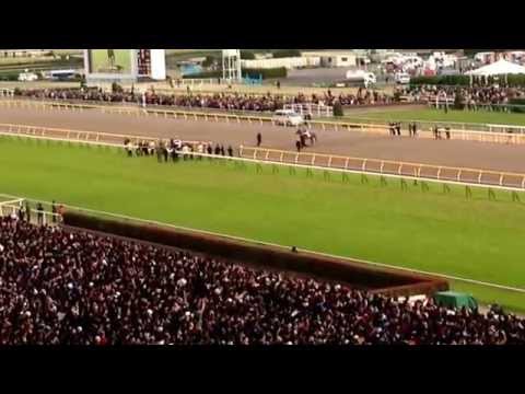 第35回ジャパンカップ本馬場入場