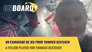 Un camarade de jeu pour Yannick Bestaven | New York Vendée 2024