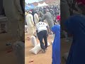 Stampede in Suleja as Crowd Scrambles for Food Distribution in Niger State