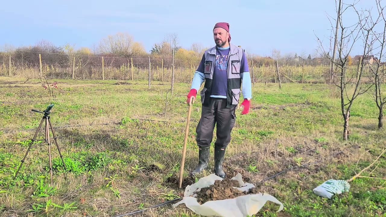 Kompletan vodič za sadnju voćaka, Complete guide to planting fruit trees