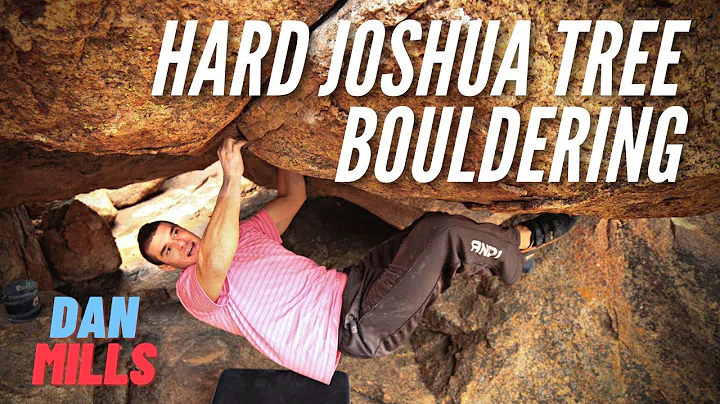 This Dude Is POWERFUL! Hard Joshua Tree Bouldering...