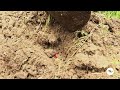 La ingeniosa técnica que usan para favorecer el suelo de las fincas en Nariño - La Finca de hoy