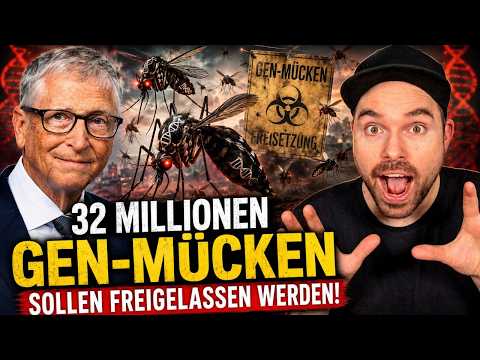 32 Millionen Gen-Mücken sollen freigelassen werden!