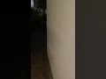 妹がうるさ過ぎるからシバターで邪魔してみたwww #shorts