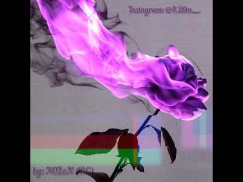 Kagramanov - Gringo ( N0LEN07 Dance remix)