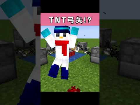 【マイクラ】TNTに100個の矢を刺してみたらやばすぎたwww#shorts