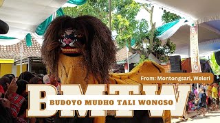 Barongan BMTW || Budoyo Mudho Tali Wongso || Live Wungurejo, Ringinarum