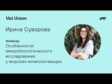 Особенности микробиологического исследования у морских млекопитающих