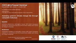 Assessing systemic climate change risk through composite indicators