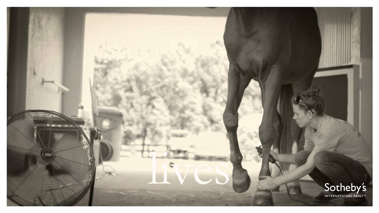 Equestrian Sotheby's International Realty Wellington Florida YouTube