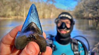 We Found Ancient Shark Teeth (and Other Fossils) Submerged in a Swampy Florida River!
