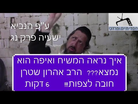 וִידֵאוֹ: כמה זמן נמלים חיות