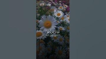 حالات واتس اب قرآن كريم بصوت القارئ رعد الكردي/ حالات واتس اب دينيه