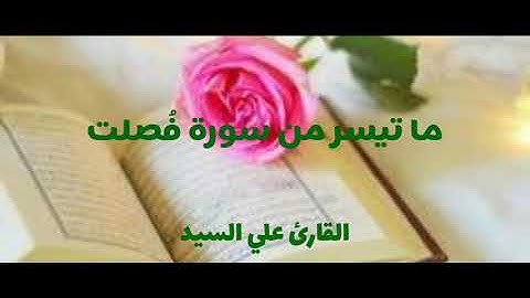 ما تيسر من سورة فصلت | آيه (30) إلي آيه (35)   ____    Surah | Fosilat | Aya (30) - Aya (35)