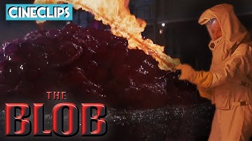 The Blob | Battling The Blob | CineStream