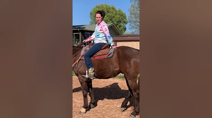 Mrs. McGaugh Horse Science Lesson #2
